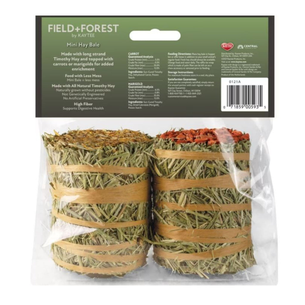 Field + Forest Mini Hay Bales Carrot/Marigold 7oz.-2 Pk