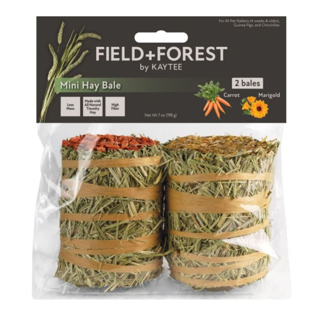 Field + Forest Mini Hay Bales Carrot/Marigold 7oz.-2 Pk