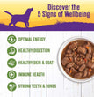 Wellness Dog Complete Health Stew Lamb Beef Brown Rice & Apple 12.5oz. (Case of 12)