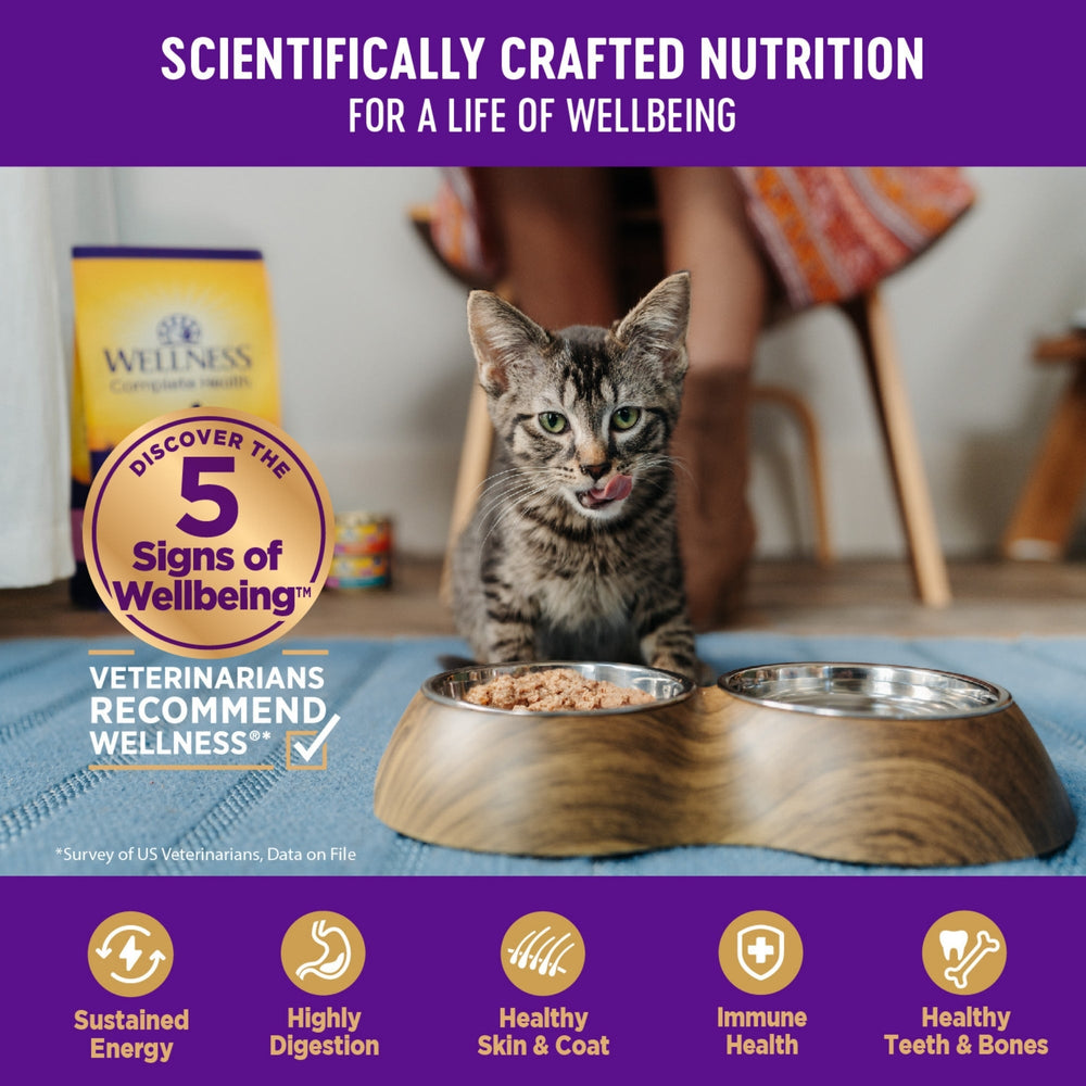 Wellness Cat Complete Health Gravies Salmon Entrée 5.5oz. (Case of 12)