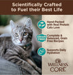 Wellness Core Signature Select Cat Seafood Selection Variety Pack 5.3oz. (Case of 12)