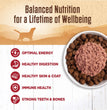 Wellness Dog Complete Health 95% Beef 13.2oz. (Case of 12)