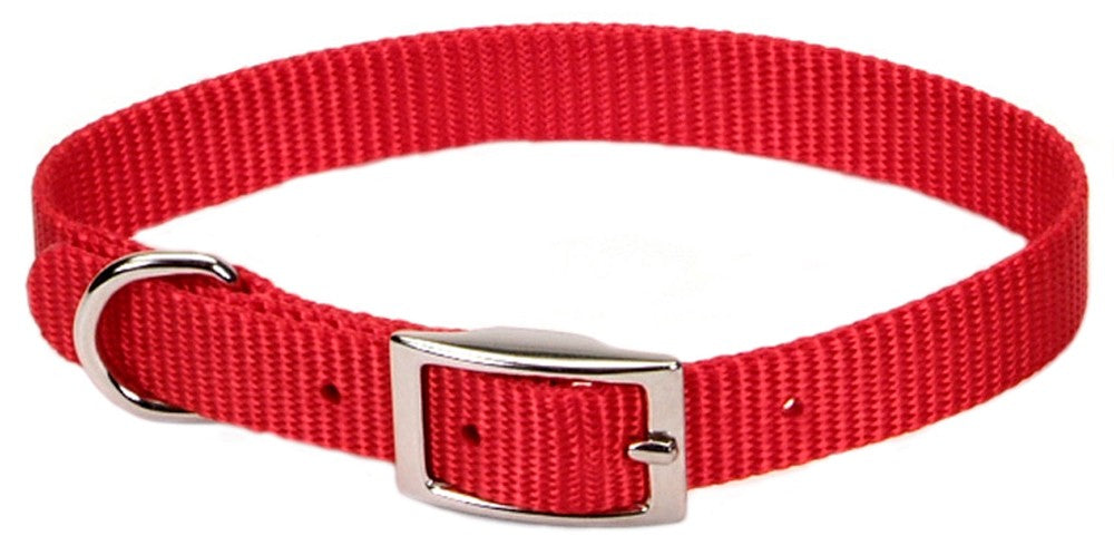 Coastal Single-Ply Nylon Collar Red 3/8X12In