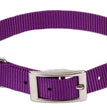 Coastal Single-Ply Nylon Collar Purple 3/8X12In