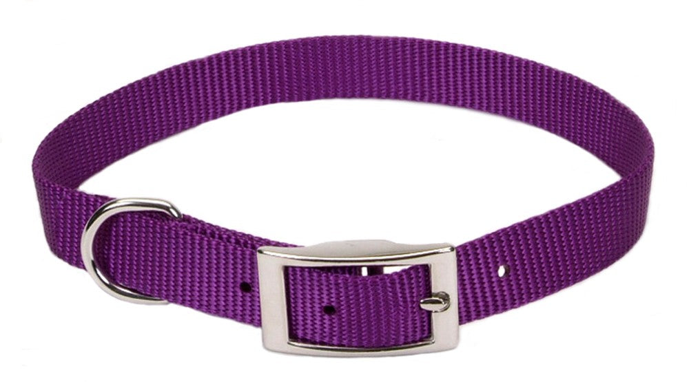 Coastal Single-Ply Nylon Collar Purple 3/8X12In for your Pet Dog with Pet Store X.