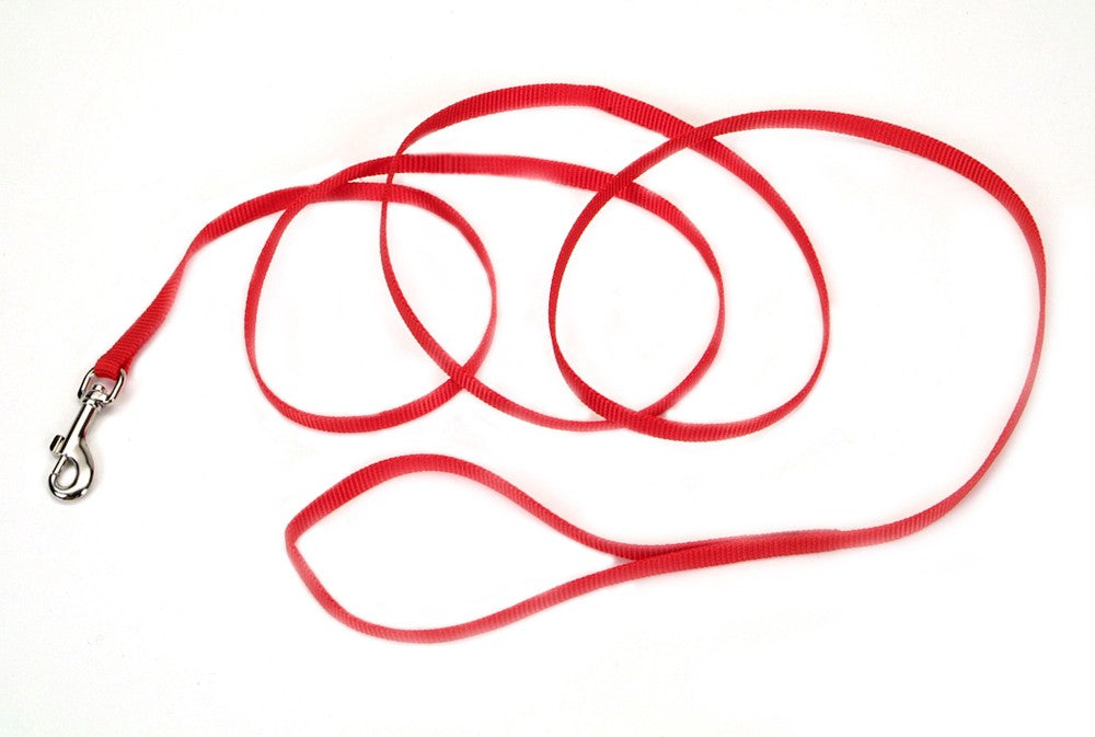 Coastal Single-Ply Nylon Dog Leash Red 1ea/3/8 In X 6 ft for your Pet Dog with Pet Store X.