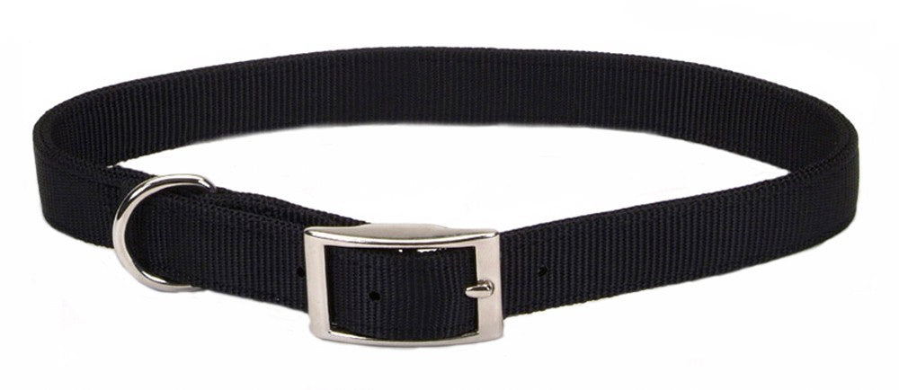 Coastal Single-Ply Nylon Dog Collar Black 1ea/5/8 In X 14 in for your Pet Dog with Pet Store X.