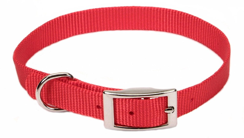 Coastal Single-Ply Nylon Dog Collar Red 1ea/5/8 In X 14 in for your Pet Dog with Pet Store X.