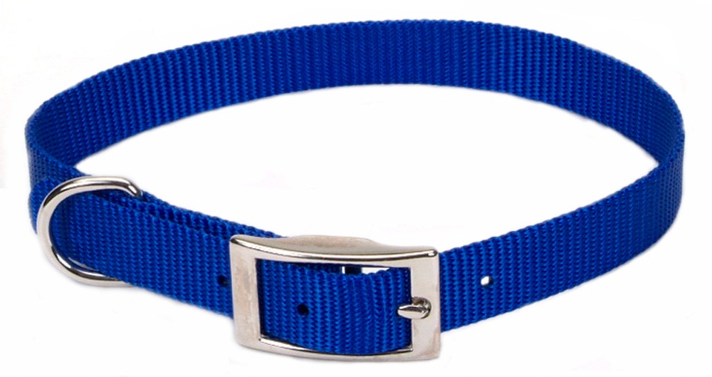 Coastal Single-Ply Nylon Dog Collar Blue 1ea/5/8 In X 14 in for your Pet Dog with Pet Store X.