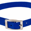 Coastal Single-Ply Nylon Dog Collar Blue 1ea/5/8 In X 14 in