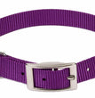 Coastal Single-Ply Nylon Dog Collar Purple 1ea/5/8 In X 14 in