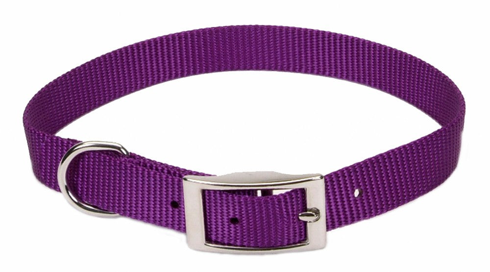 Coastal Single-Ply Nylon Dog Collar Purple 1ea/5/8 In X 14 in for your Pet Dog with Pet Store X.