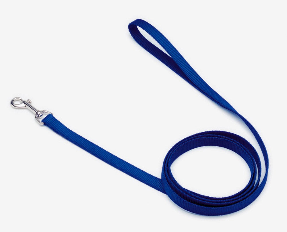 Coastal Single-Ply Nylon Dog Leash Blue 1ea/5/8 In X 4 ft for your Pet Dog with Pet Store X.