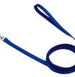 Coastal Single-Ply Nylon Dog Leash Blue 1ea/5/8 In X 6 ft