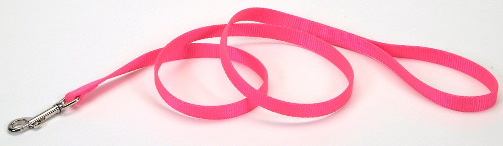 Coastal Single-Ply Nylon Dog Leash Neon Pink 1ea/5/8 In X 6 ft for your Pet Dog with Pet Store X.