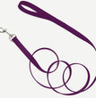 Coastal Single-Ply Nylon Dog Leash Purple 1ea/5/8 In X 6 ft