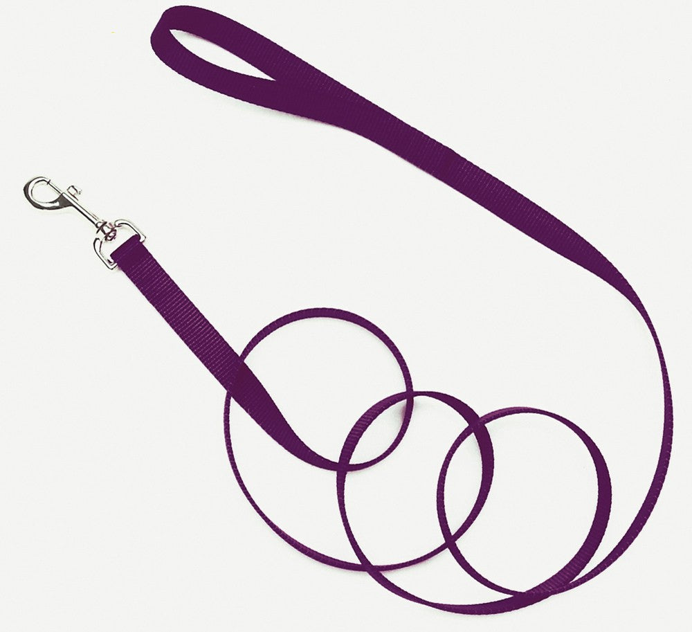 Coastal Single-Ply Nylon Dog Leash Purple 1ea/5/8 In X 6 ft