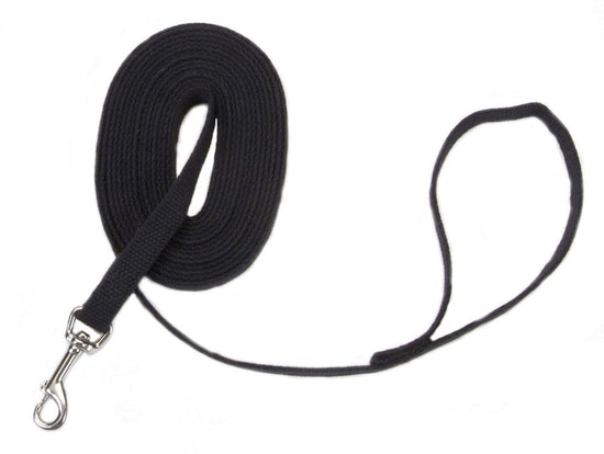 Train Right Cotton Web Training Dog Leash Black 1ea/5/8 In X 6 ft for your Pet Dog with Pet Store X.