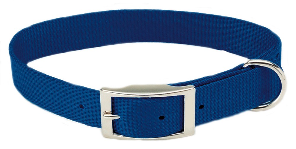 Coastal Single-Ply Nylon Dog Collar Blue 1ea/3/4 In X 16 in