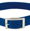 Coastal Single-Ply Nylon Dog Collar Blue 1ea/3/4 In X 16 in