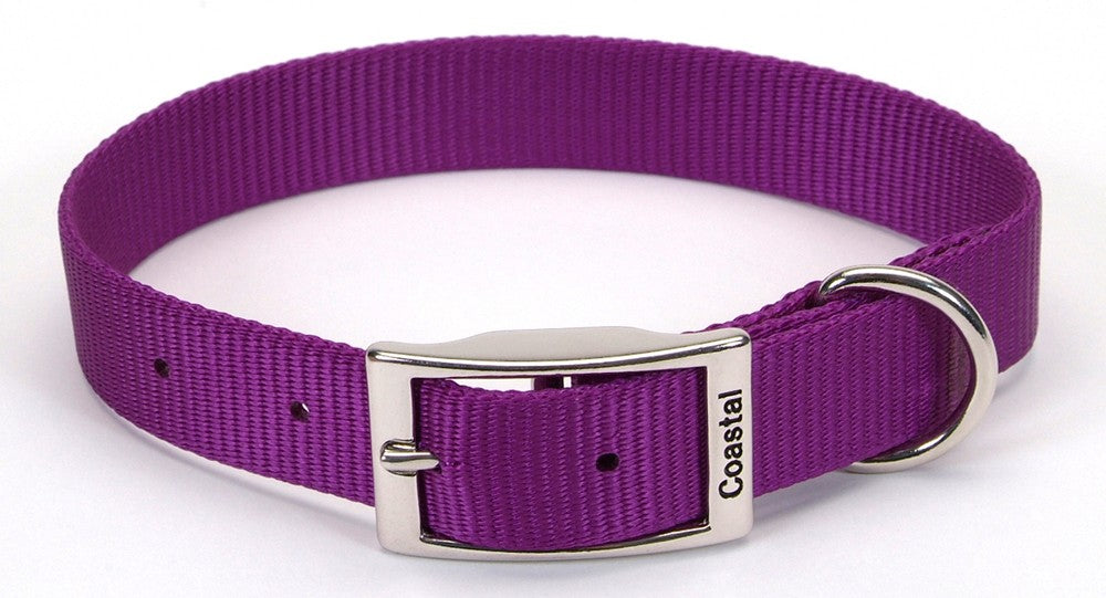 Coastal Single-Ply Nylon Collar Purple 3/4X16In