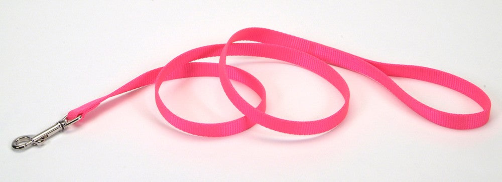 Coastal Single-Ply Nylon Dog Leash Neon Pink 1ea/3/4 In X 4 ft