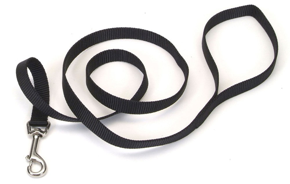 Coastal Single-Ply Nylon Dog Leash Black 1ea/3/4 In X 6 ft for your Pet Dog with Pet Store X.