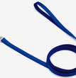 Coastal Single-Ply Nylon Dog Leash Blue 1ea/3/4 In X 6 ft for your Pet Dog with Pet Store X.