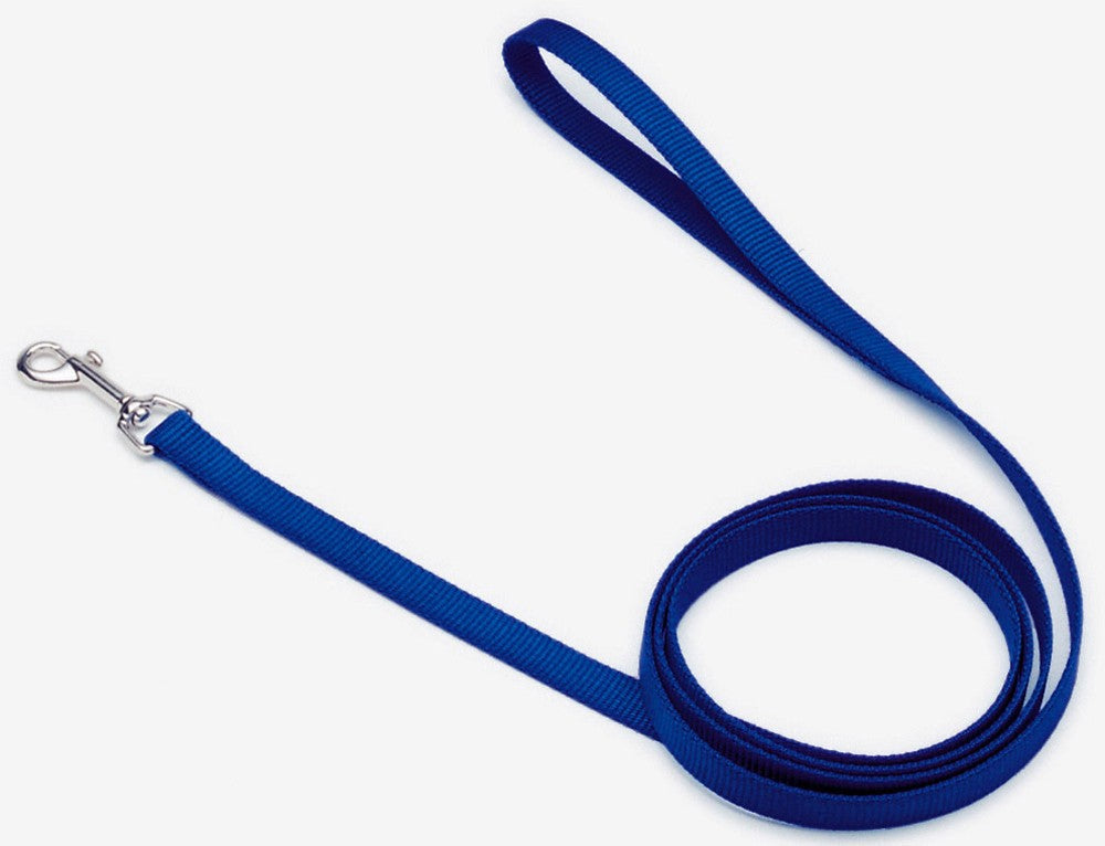 Coastal Single-Ply Nylon Dog Leash Blue 1ea/3/4 In X 6 ft for your Pet Dog with Pet Store X.