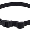 Coastal Adjustable Nylon Dog Collar with Plastic Buckle Black 1ea/5/8 In X 10-14 in