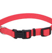 Coastal Adjustable Nylon Dog Collar with Plastic Buckle Red 1ea/5/8 In X 10-14 in