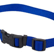 Coastal Adjustable Nylon Dog Collar with Plastic Buckle Blue 1ea/5/8 In X 10-14 in