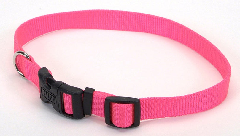 Coastal Adjustable Nylon Dog Collar with Plastic Buckle Neon Pink 1ea/5/8 In X 10-14 in for your Pet Dog with Pet Store X.