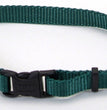 Coastal Adjustable Nylon Dog Collar with Plastic Buckle Black 1ea/3/8 In X 8-12 in