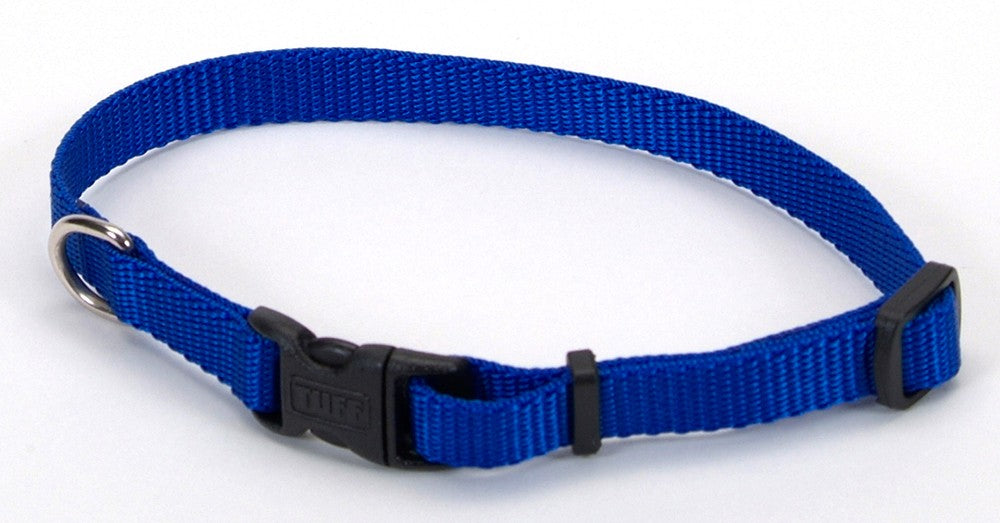 Coastal Adjustable Nylon Dog Collar with Plastic Buckle Blue 1ea/3/8 In X 8-12 in for your Pet Dog with Pet Store X.