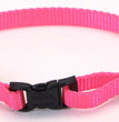 Coastal Adjustable Nylon Dog Collar with Plastic Buckle Neon Pink 1ea/3/8 In X 8-12 in