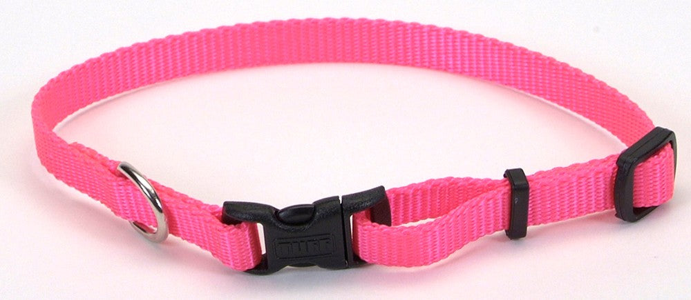 Coastal Adjustable Nylon Dog Collar with Plastic Buckle Neon Pink 1ea/3/8 In X 8-12 in for your Pet Dog with Pet Store X.