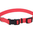 Coastal Adjustable Nylon Dog Collar with Plastic Buckle Red 1ea/3/4 In X 14-20 in