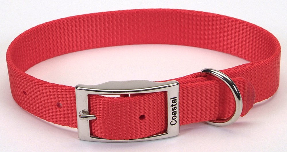 Coastal Single-Ply Nylon Collar Red 1X18In for your Pet Dog with Pet Store X.