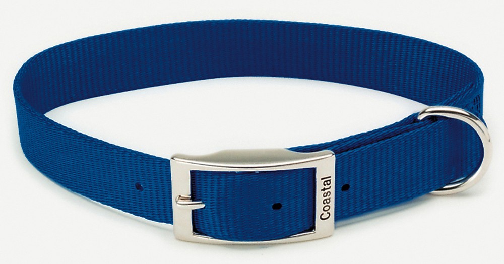 Coastal Single-Ply Nylon Collar Blue 1X18In for your Pet Dog with Pet Store X.