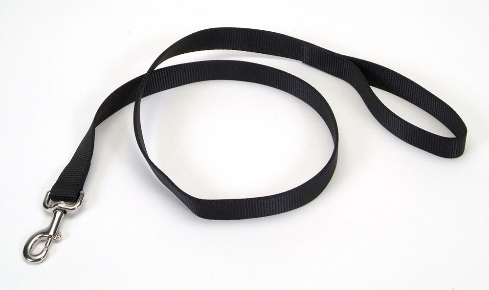 Coastal Single-Ply Nylon Dog Leash Black 1ea/1 In X 4 ft for your Pet Dog with Pet Store X.