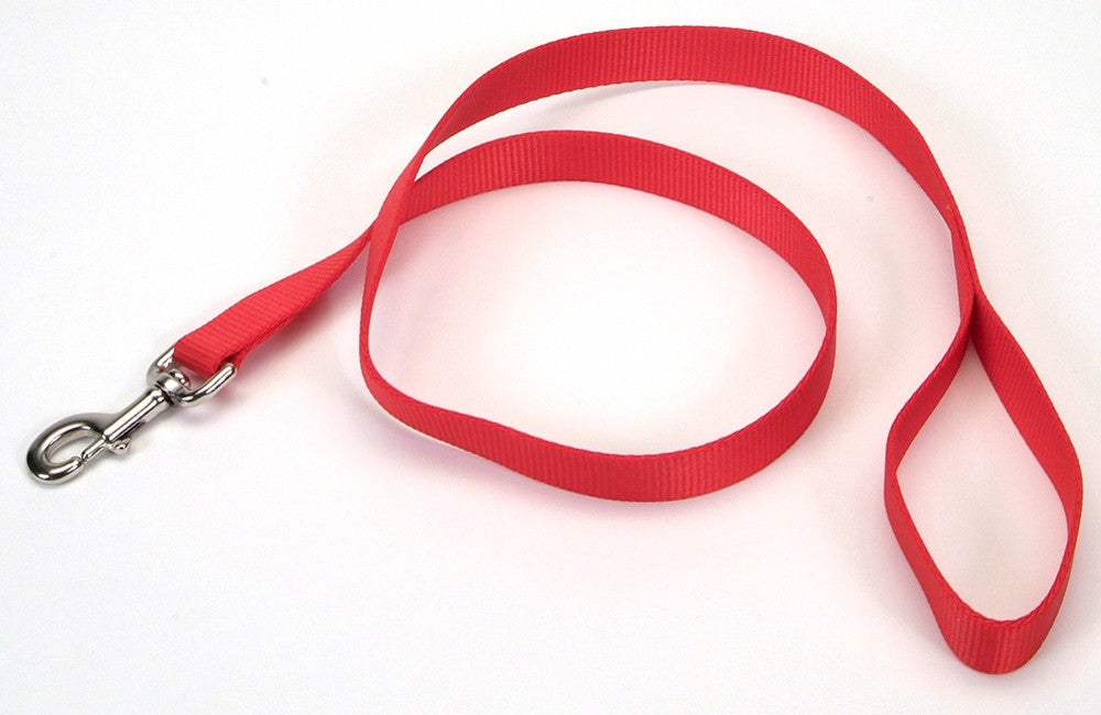 Coastal Single-Ply Nylon Dog Leash Red 1ea/1 In X 6 ft