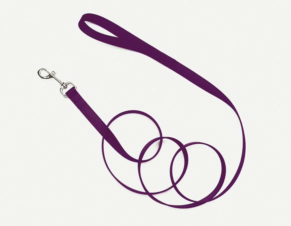 Coastal Single-Ply Nylon Dog Leash Purple 1ea/1 In X 6 ft for your Pet Dog with Pet Store X.