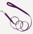 Coastal Single-Ply Nylon Dog Leash Purple 1ea/1 In X 6 ft