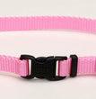 Coastal Adjustable Nylon Dog Collar with Plastic Buckle Bright Pink 1ea/3/8 In X 8-12 in