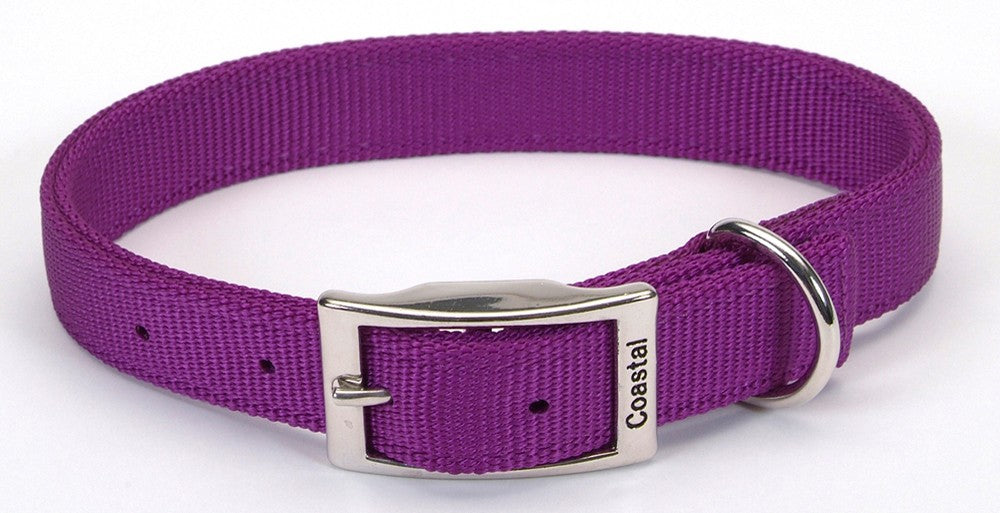 Coastal Double-Ply Nylon Dog Collar Purple 1ea/1 In X 20 in for your Pet Dog with Pet Store X.