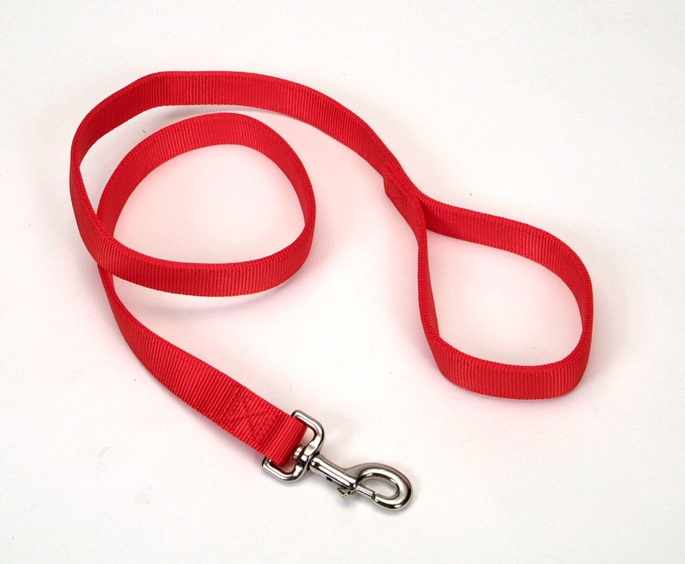 Coastal Double-Ply Nylon Dog Leash Red 1ea/1 In X 4 ft