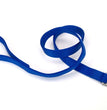 Coastal Double-Ply Nylon Dog Leash Blue 1ea/1 In X 4 ft