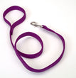 Coastal Double-Ply Nylon Dog Leash Purple 1ea/1 In X 4 ft