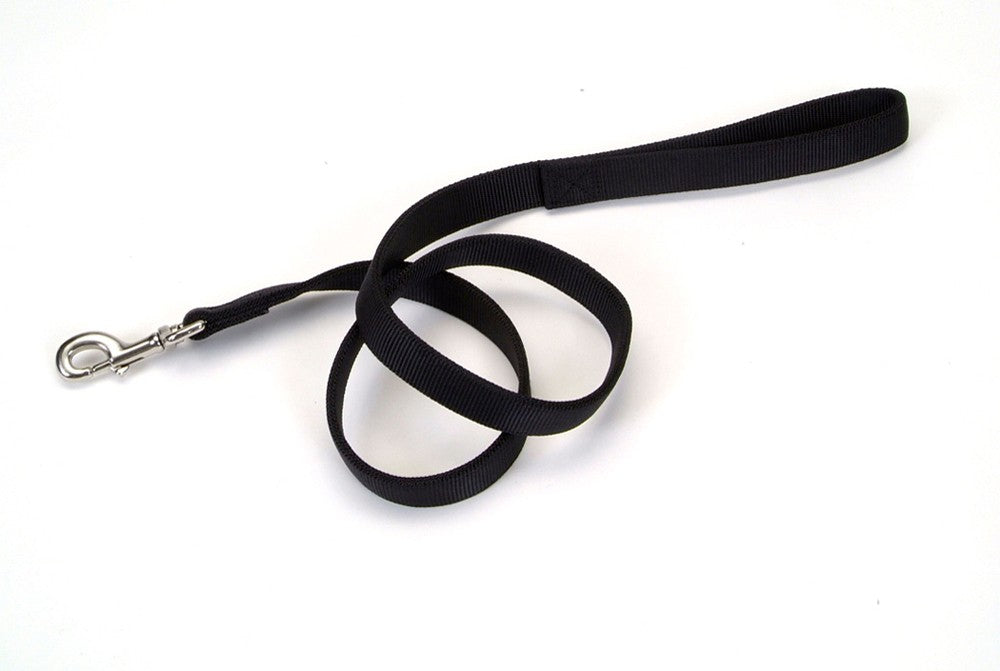 Coastal Double-Ply Nylon Dog Leash Black 1ea/1 In X 6 ft